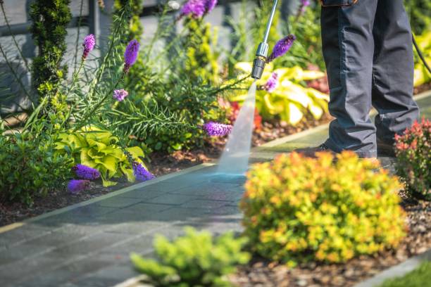 Best Fence Cleaning  in Deadwood, SD