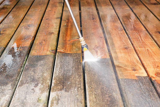 Best Animal Enclosure Cleaning  in Deadwood, SD
